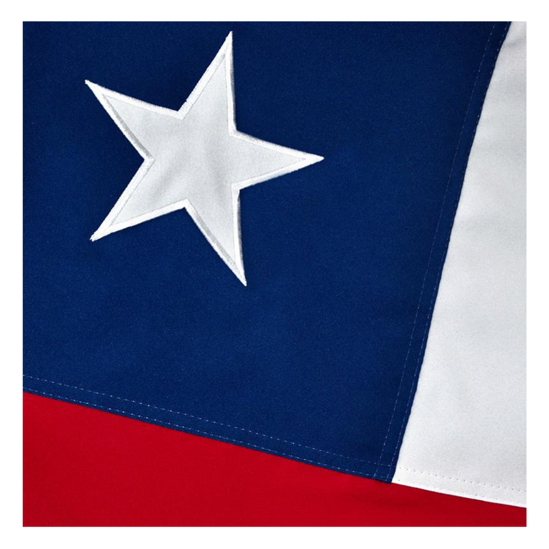 Bandera Chilena 60 X 90 cm